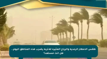طقس الأمطار الرعدية والرياح المثيرة للأتربة يضرب هذه المناطق اليوم.. هل أنت مستعد؟